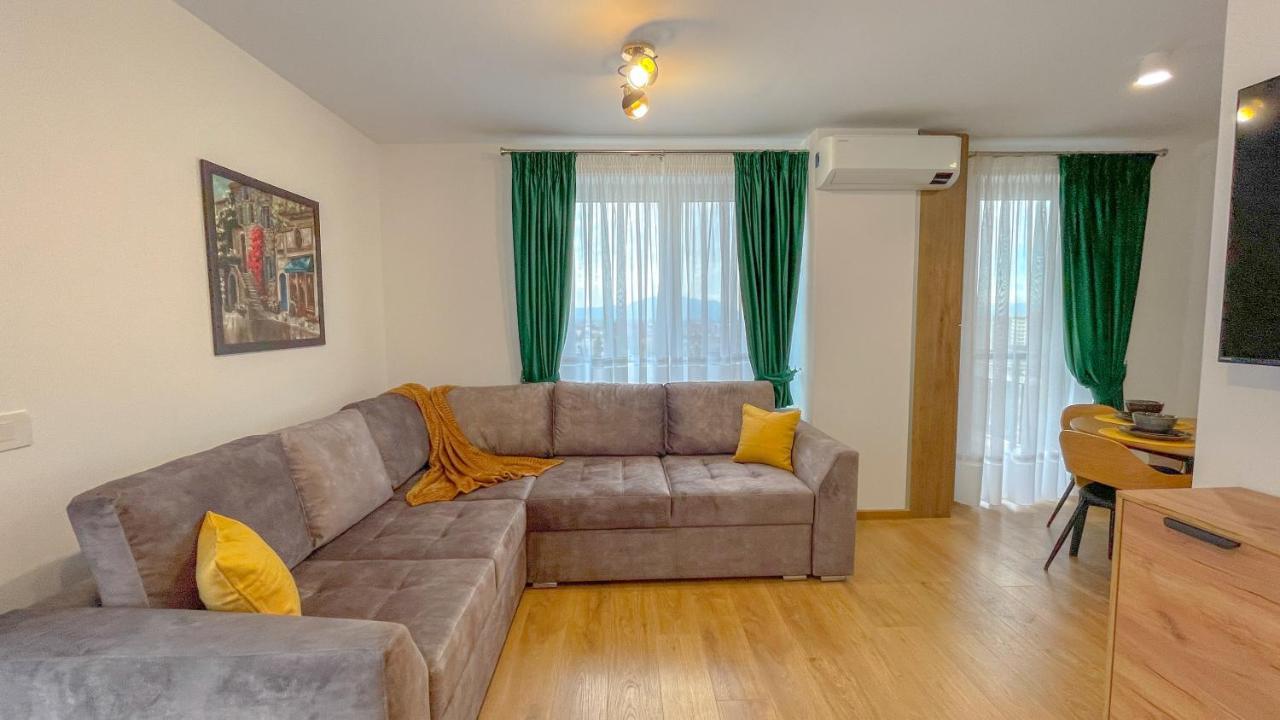 Dreamview Apartment With Private Parking 布拉索夫 外观 照片